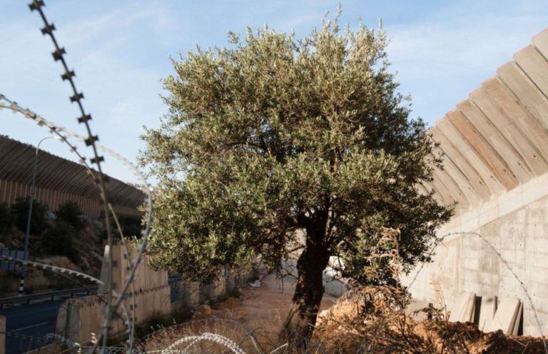 WhatsApp-Image-2026-02-26-at-10.11